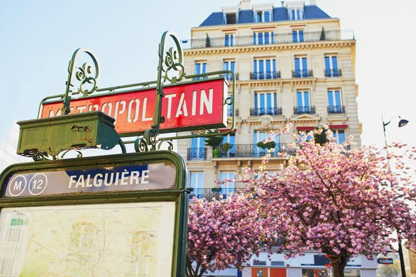 Cherry Blossom Season Spring Paris France Beautiful Sakura Tree Full — Stock Photo, Image