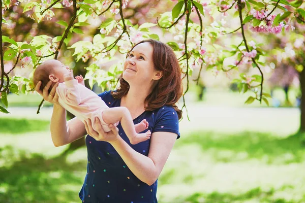 데리고 어머니는 다닌다 부모와 자녀가 벚꽃을 즐기는 — 스톡 사진