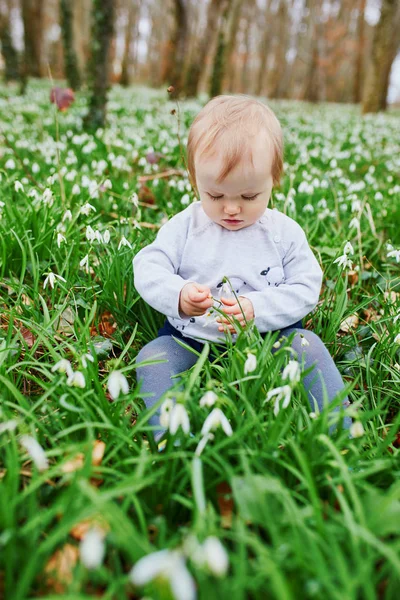 One year old baby girl sitting on the grass with many snowdrop flowers — Stock Photo, Image