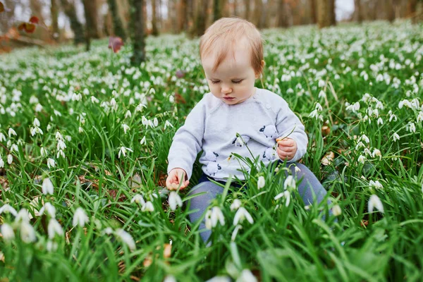 One year old baby girl sitting on the grass with many snowdrop flowers