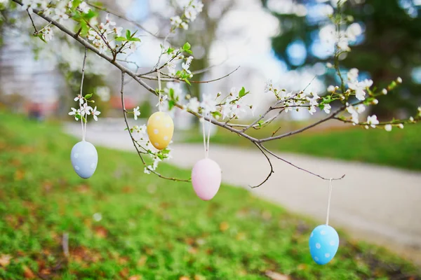 Maçã árvore ramo decorado com ovos de Páscoa coloridos — Fotografia de Stock