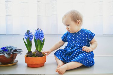 Mavi elbiseli bebek mavi sümbüllerle pencere eşiğinde oturuyor.