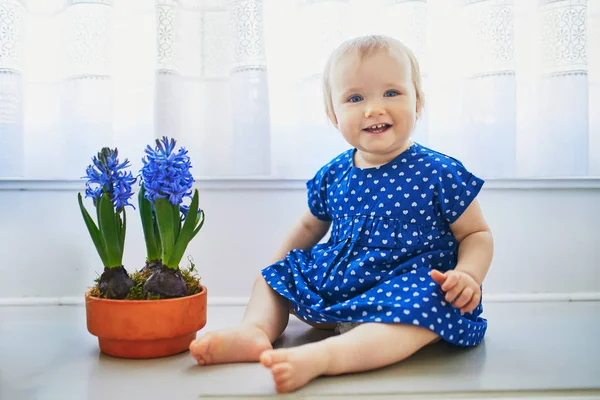 Menina bebê em vestido azul sentado na soleira da janela com jacintos azuis — Fotografia de Stock