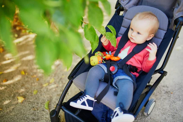 Urocza dziewczynka siedzi w wózku i patrzy na liście w jesienny lub wiosenny dzień w parku — Zdjęcie stockowe