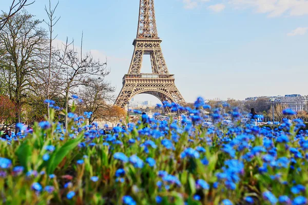 Πύργος του Άιφελ, ιδωμένη μέσα από τα όμορφα μπλε λουλούδια στο Παρίσι — Φωτογραφία Αρχείου