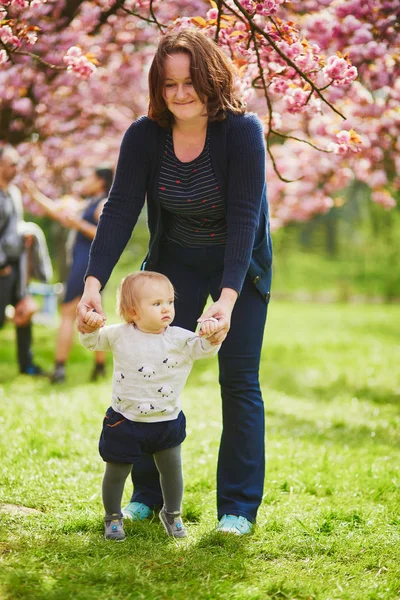 Молодая женщина с маленькой девочкой наслаждается сезон цветения вишни — стоковое фото