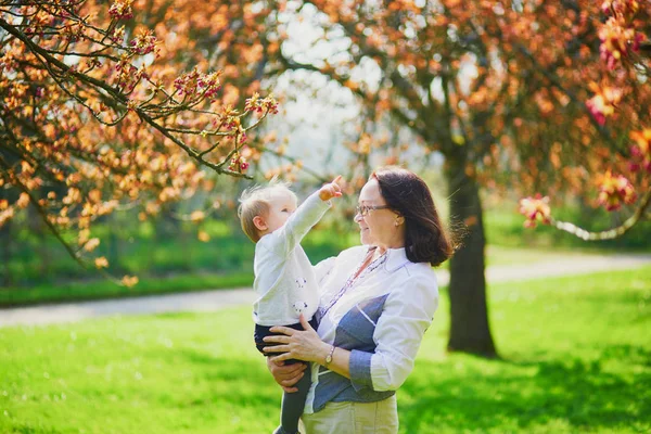 Großmutter und Enkelin genießen Kirschblütenzeit — Stockfoto