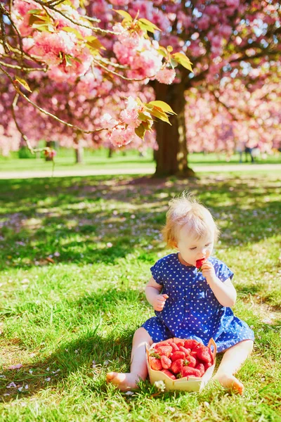 Дівчина сидить на траві і їсть полуницю — стокове фото