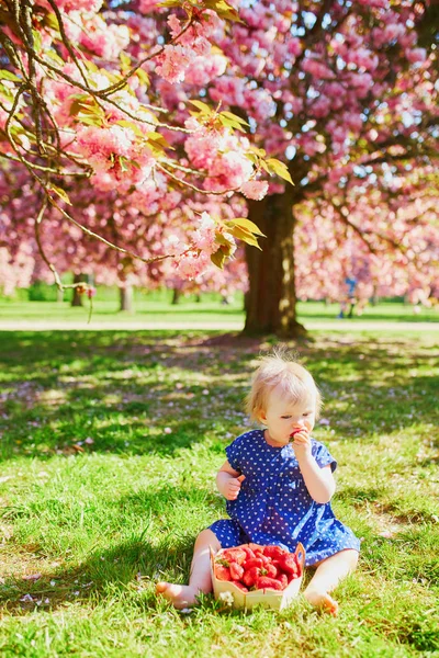 Dívka seděla na trávě a jedla jahody — Stock fotografie