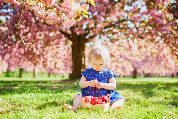 Tyttö istuu nurmikolla ja syö mansikoita — kuvapankkivalokuva