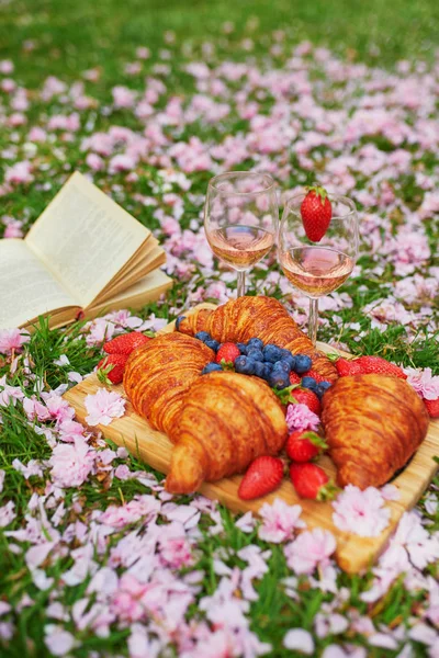 Hermoso picnic con vino de rosas, croissants franceses y bayas frescas —  Fotos de Stock