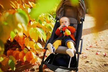 parlak şık kıyafetler bir sonbahar gününde açık havada oturan kız