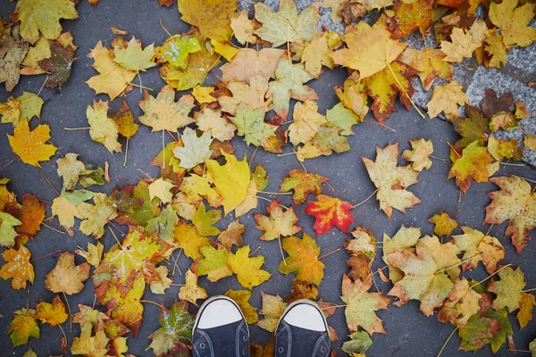Sonbahar yaprakları ile kaplı asfalt üzerinde spor ayakkabıları kadın ayaklar closeup — Stok fotoğraf