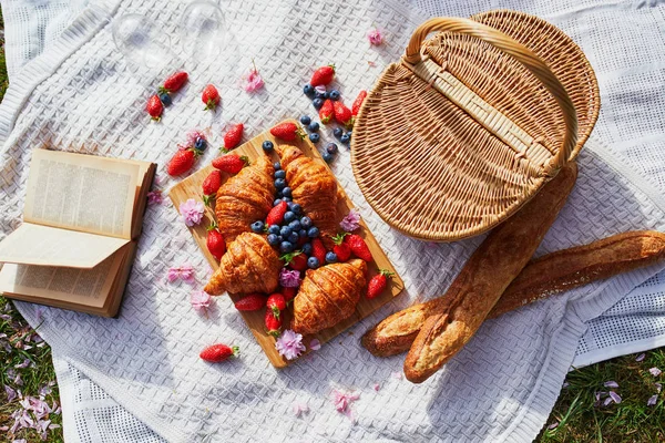 Hermoso picnic con vino de rosas, croissants franceses y bayas frescas —  Fotos de Stock