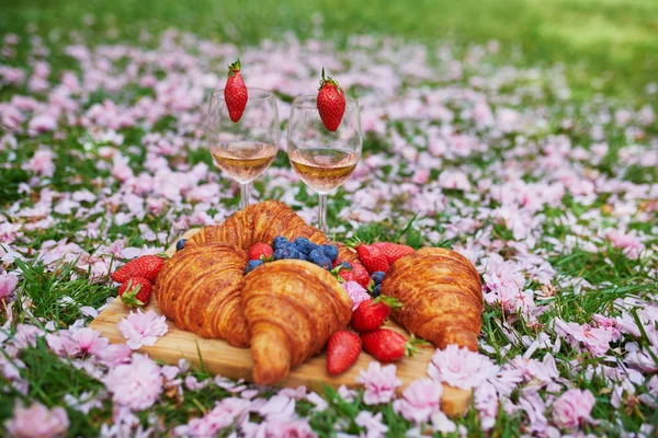 Hermoso picnic con vino de rosas, croissants franceses y bayas frescas —  Fotos de Stock