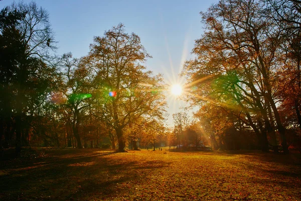 Hermoso parque de Bagatelle en París, Francia — Foto de Stock