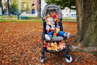 Kırmızı akçaağaç yaprakları demet ile bebek arabasında oturan sevimli bebek kız