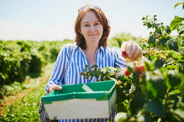Girl picking fresh ripe organic raspberries on farm — Stock Photo, Image