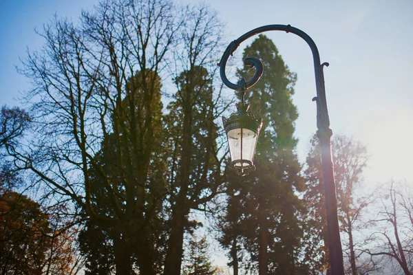 Уличный фонарь в парке — стоковое фото