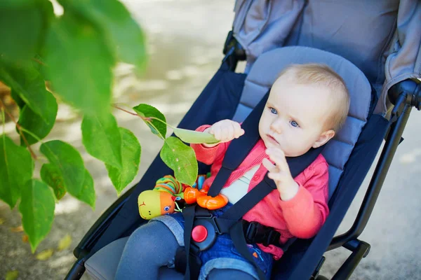 可爱的女婴坐在婴儿车里，在秋天或春天的公园里看着树叶 — 图库照片