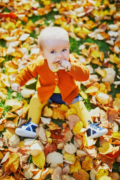 Adorable little girl playing with yellow autumn leaves — Stock Photo, Image