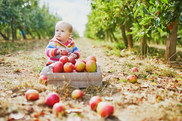 Adorabile bambina seduta a terra vicino alla cassa piena di mele mature — Foto Stock