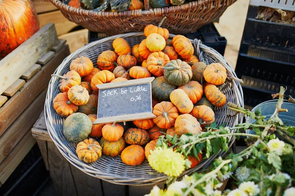 Świeże dynie organiczne na rynku farmerów — Zdjęcie stockowe