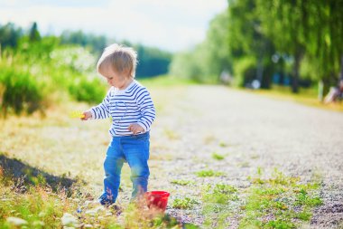 Küçük züppkalıp, kova ve kürek ile oynuyor