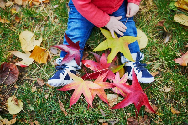 草の上に座って、カラフルな紅葉で遊ぶ女の子 — ストック写真