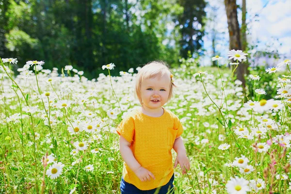 Schattige baby meisje temidden van groen gras en verhaal madeliefjes — Stockfoto