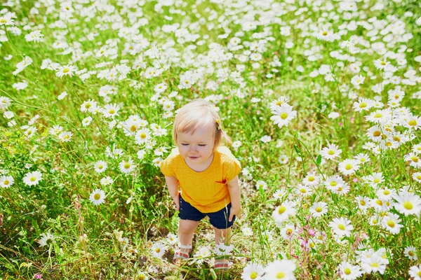 Adorable baby girl amidst green grass and beauitiful daisies — Stock Photo, Image