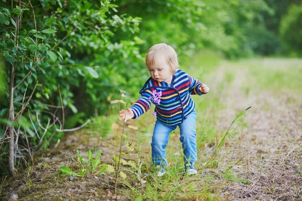 Adorable baby girl in the forest, looking at bell-flower — Stock Photo, Image