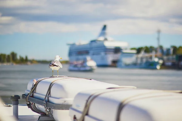 Sea gull on top of a boat — Stock Photo, Image