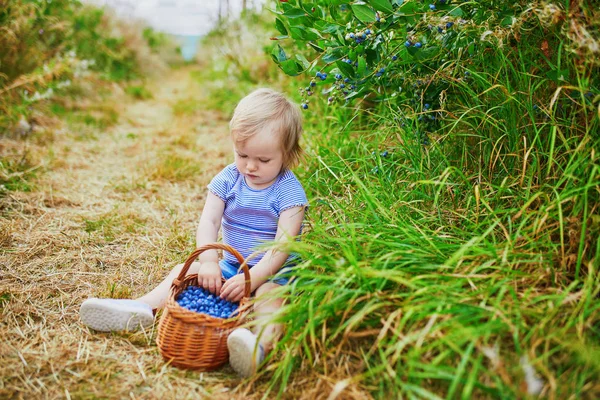 Adorable niña recogiendo arándanos orgánicos frescos —  Fotos de Stock