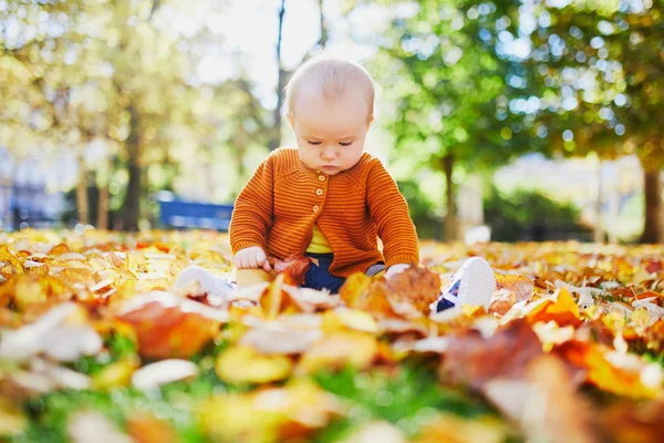 Adorable petite fille jouant avec des feuilles d'automne jaunes — Photo