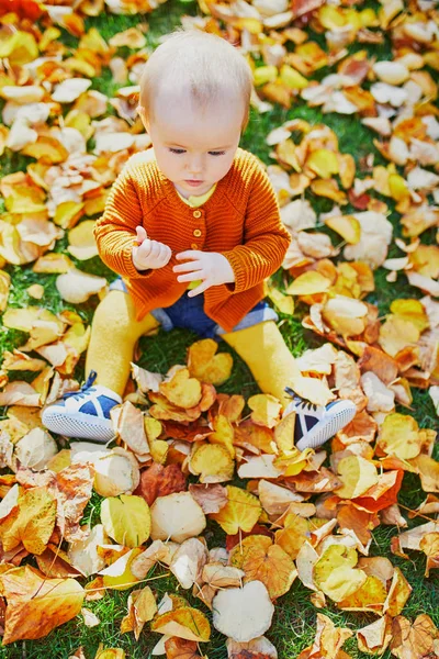 Urocza dziewczynka gra z żółtymi jesiennych liści — Zdjęcie stockowe