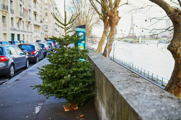 Paris, Franciaország-február 3, 2019: karácsonyfa eldobta után az utcán Párizs, Franciaország — Stock Fotó