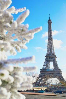 Noel ağacı Eyfel Kulesinin yakınında kar ile kaplı