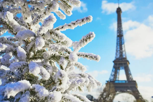 Arbre de Noël couvert de neige près de la tour Eiffel — Photo