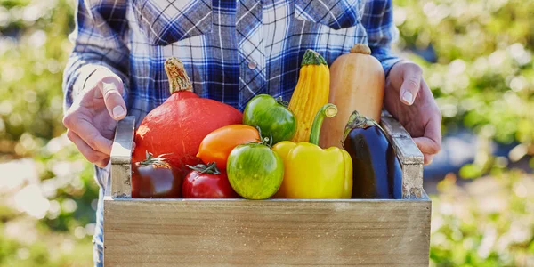 Mujer sosteniendo cajón con verduras en la granja — Foto de Stock