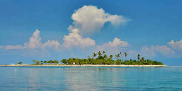 Perfect tropical island with palm trees — Stock Photo, Image