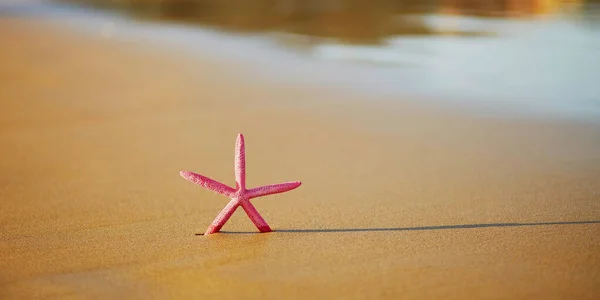 Kum plajı üzerinde kırmızı deniz yıldızı — Stok fotoğraf