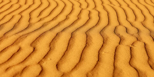 Zandduinen in de sahara woestijn — Stockfoto