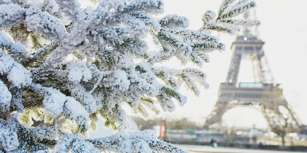 Árbol de Navidad cubierto de nieve cerca de la Torre Eiffel — Foto de Stock