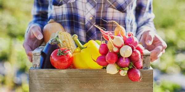 農場で野菜とクレートを持つ女性 — ストック写真