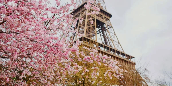 Início da primavera em Paris, França — Fotografia de Stock