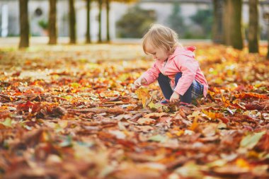 Fransa, Paris 'teki Tuileries bahçesinde düşen yaprakları toplayan tatlı bir kız.