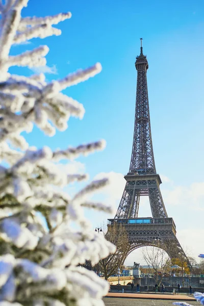 Árvore de Natal coberta de neve perto da Torre Eiffel — Fotografia de Stock