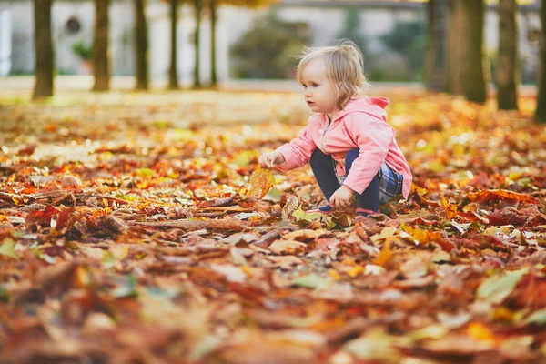 Adorable niña recogiendo hojas caídas en el jardín de las Tullerías en París, Francia — Foto de Stock