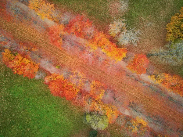 法国巴黎附近凡尔赛五彩斑斓的秋天森林中的空中俯瞰路径 — 图库照片
